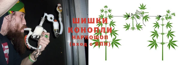 гашик Алексеевка