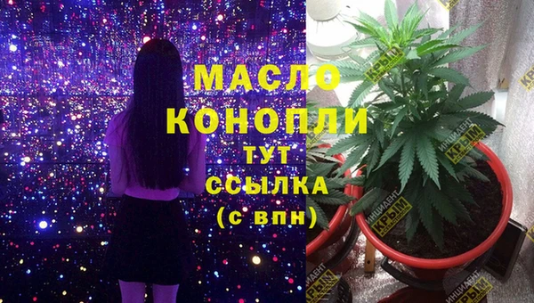 гашик Алексеевка