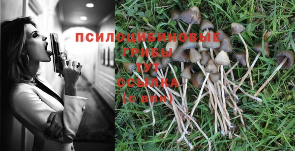 гашик Алексеевка