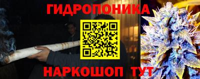 a pvp Белореченск