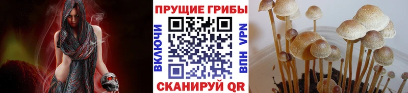 Псилоцибиновые грибы ЛСД  Бирск 